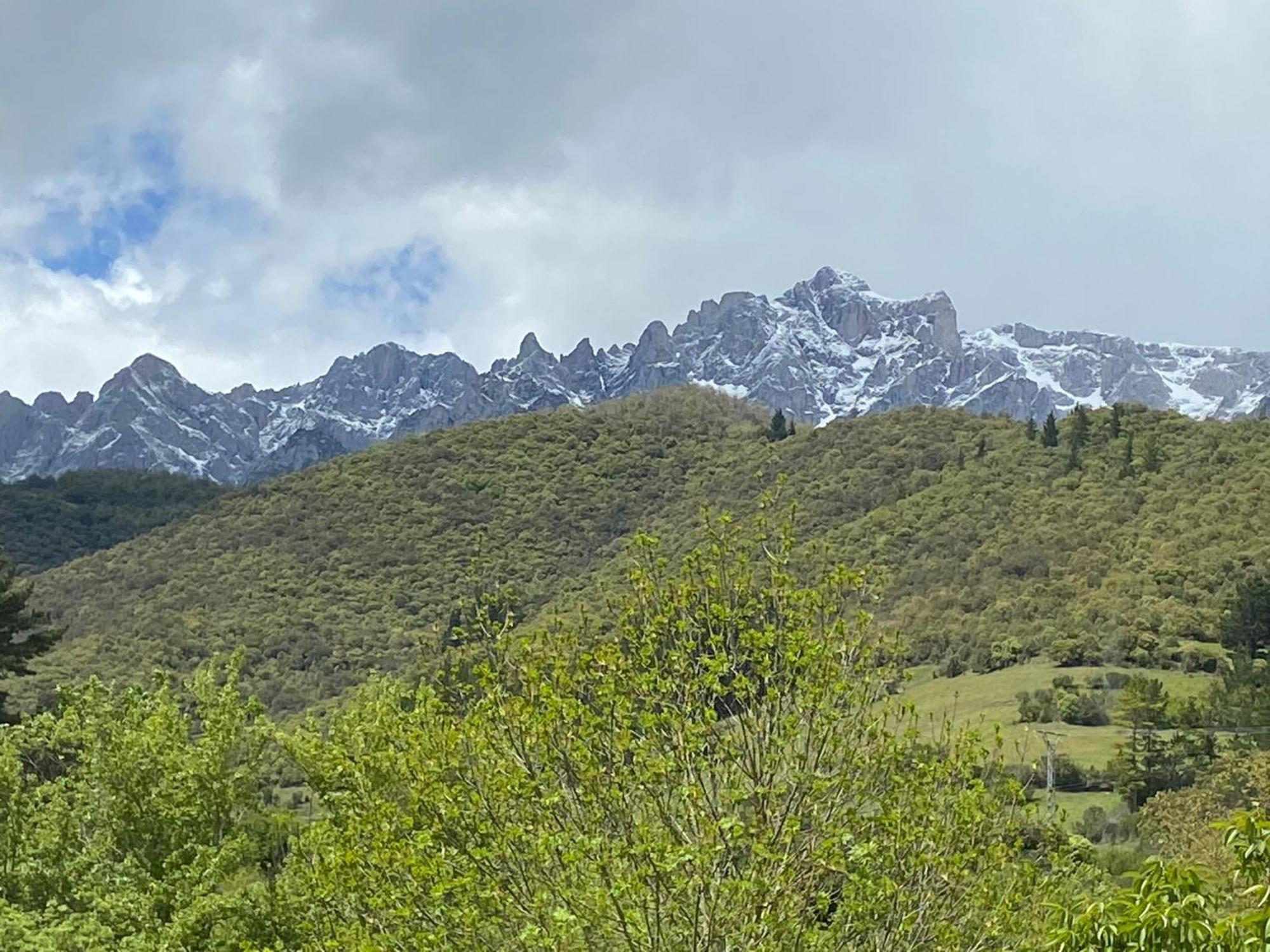 Picos De Europa Suites And Rooms Turieno Bagian luar foto
