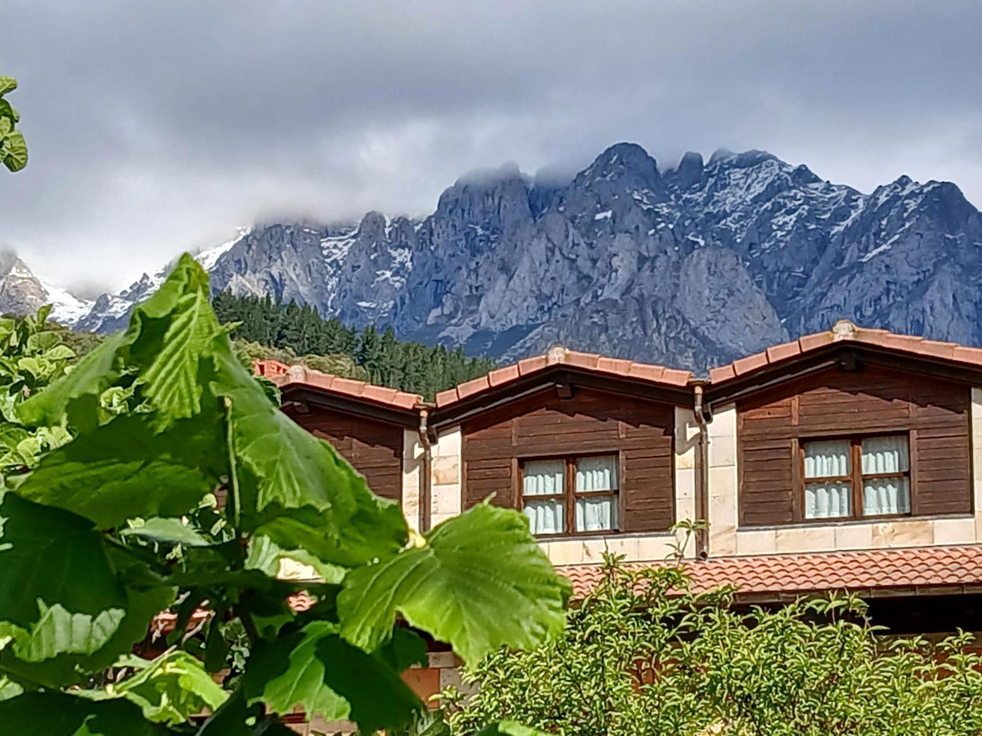Picos De Europa Suites And Rooms Turieno Bagian luar foto