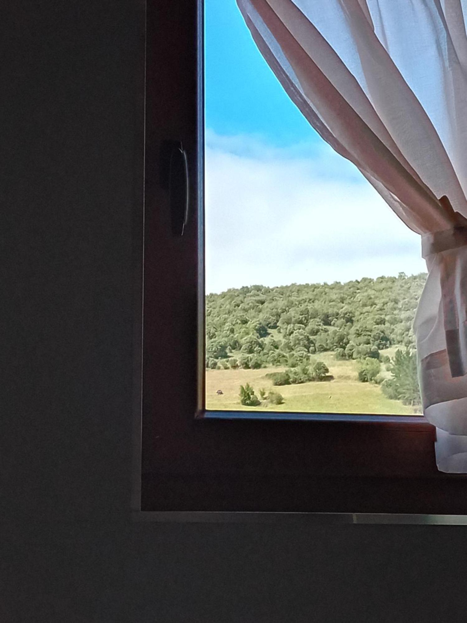 Picos De Europa Suites And Rooms Turieno Bagian luar foto
