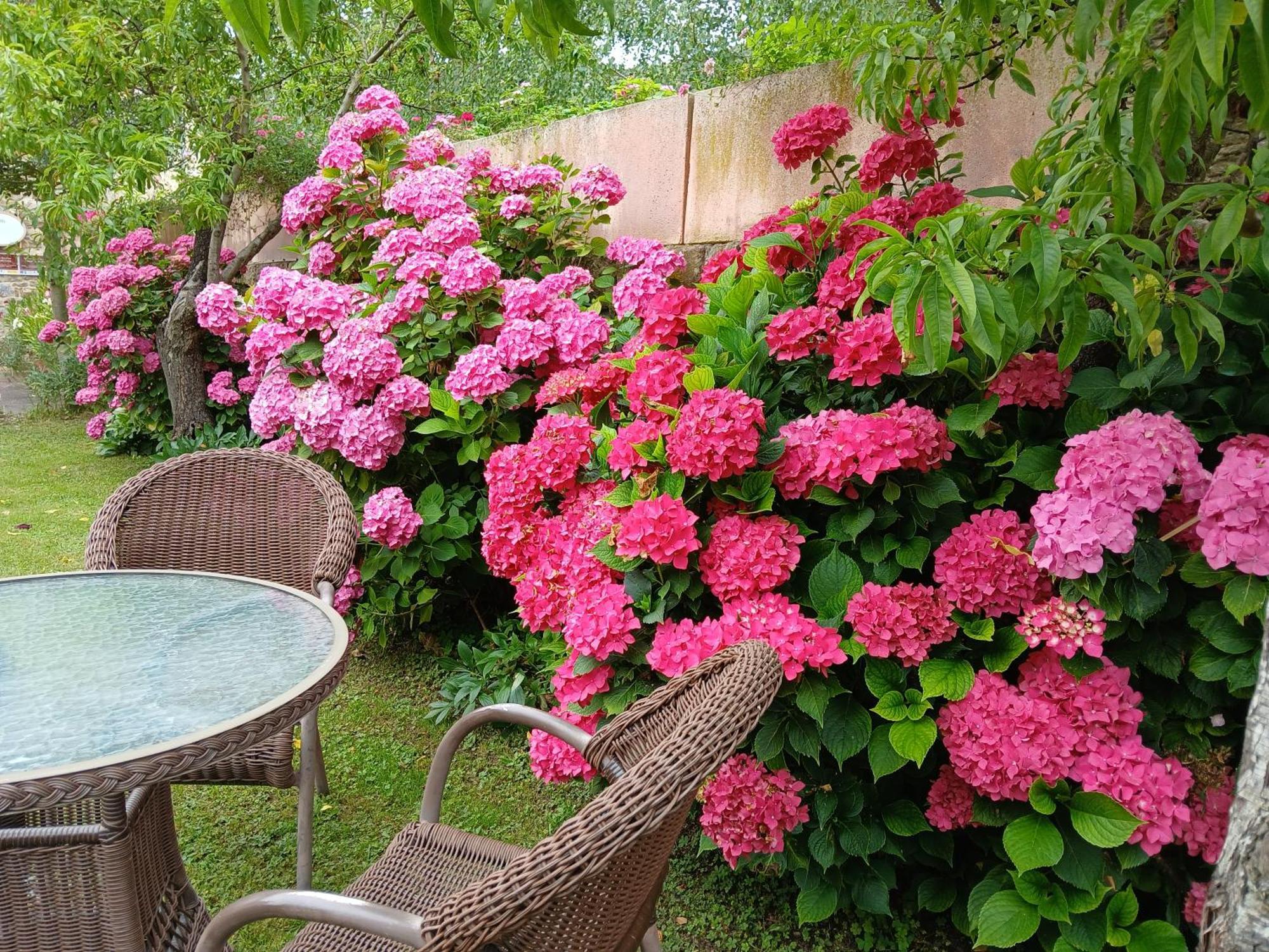 Picos De Europa Suites And Rooms Turieno Bagian luar foto