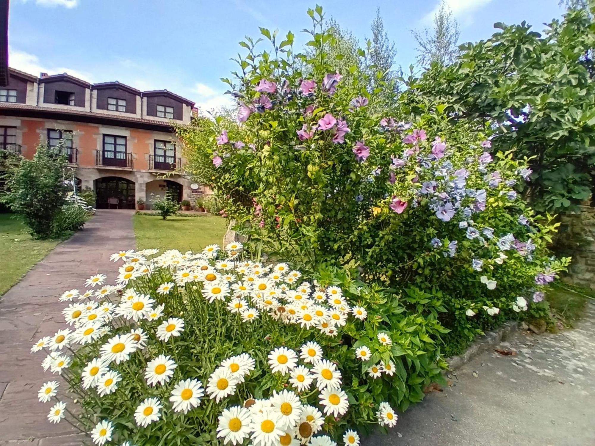 Picos De Europa Suites And Rooms Turieno Bagian luar foto